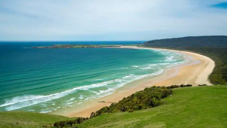 curio-bay-catlins-new-zealand
