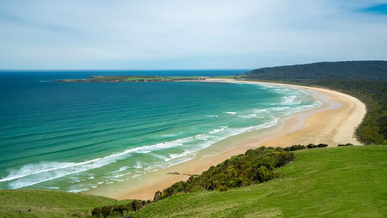 curio-bay-catlins-new-zealand curio-bay-catlins-new-zealand