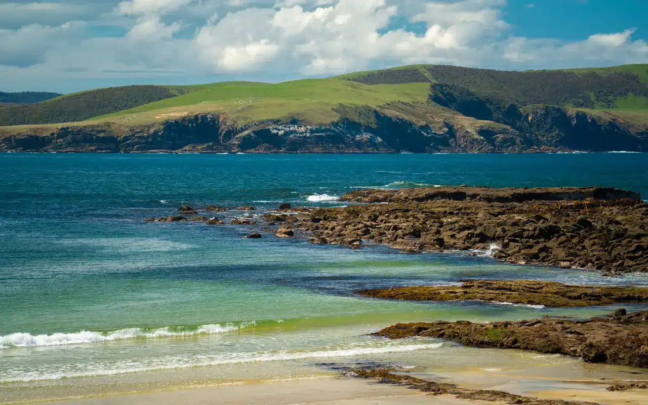 curio-bay-coastline curio-bay-coastline