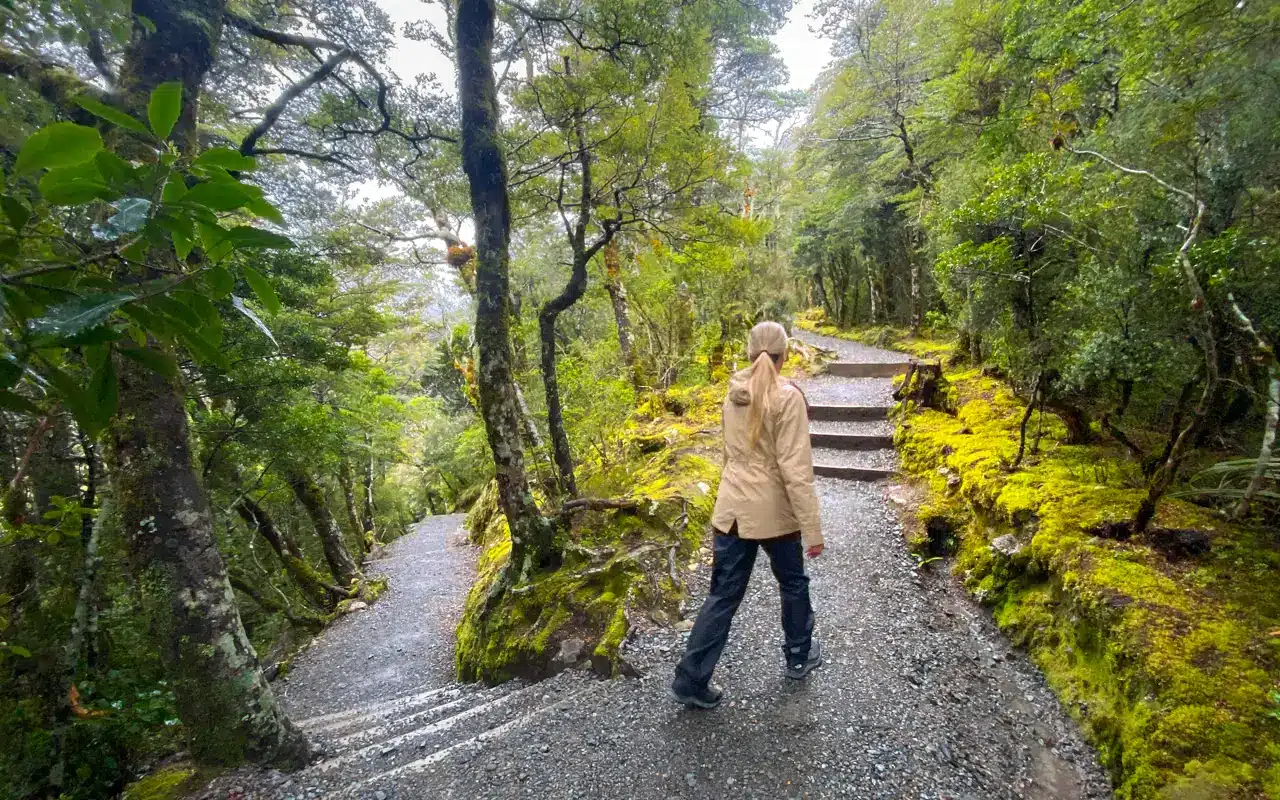 Devils-Punchbowl-waterfall-walking-track Devils-Punchbowl-waterfall-walking-track