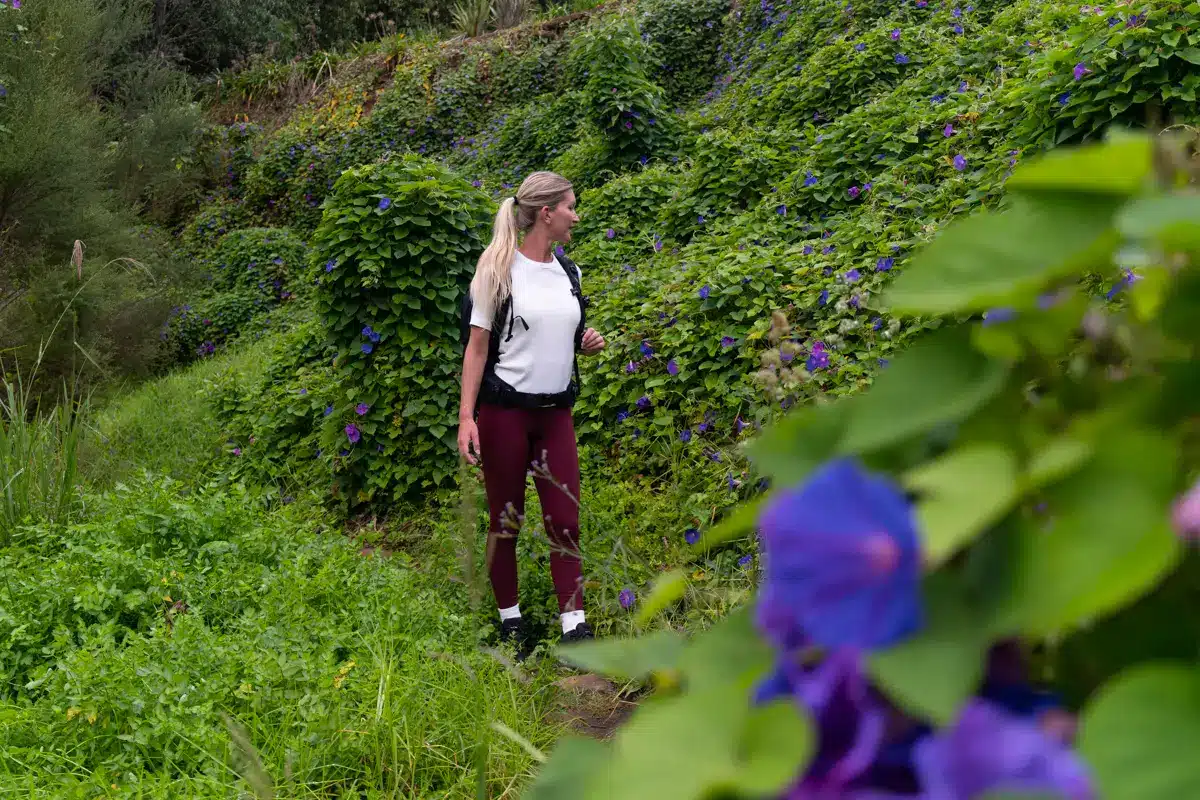 flower-wall-charlies-rock flower-wall-charlies-rock