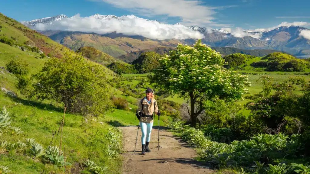 hikes-in-wanaka-new-zealand