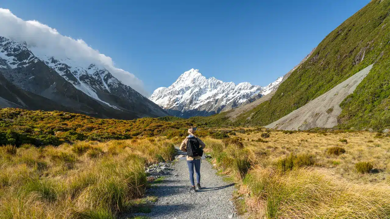 hooker-valley-track-tussock