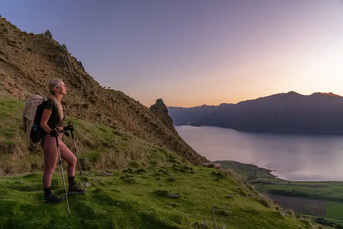 isthmus-peak-track-deer isthmus-peak-track-deer