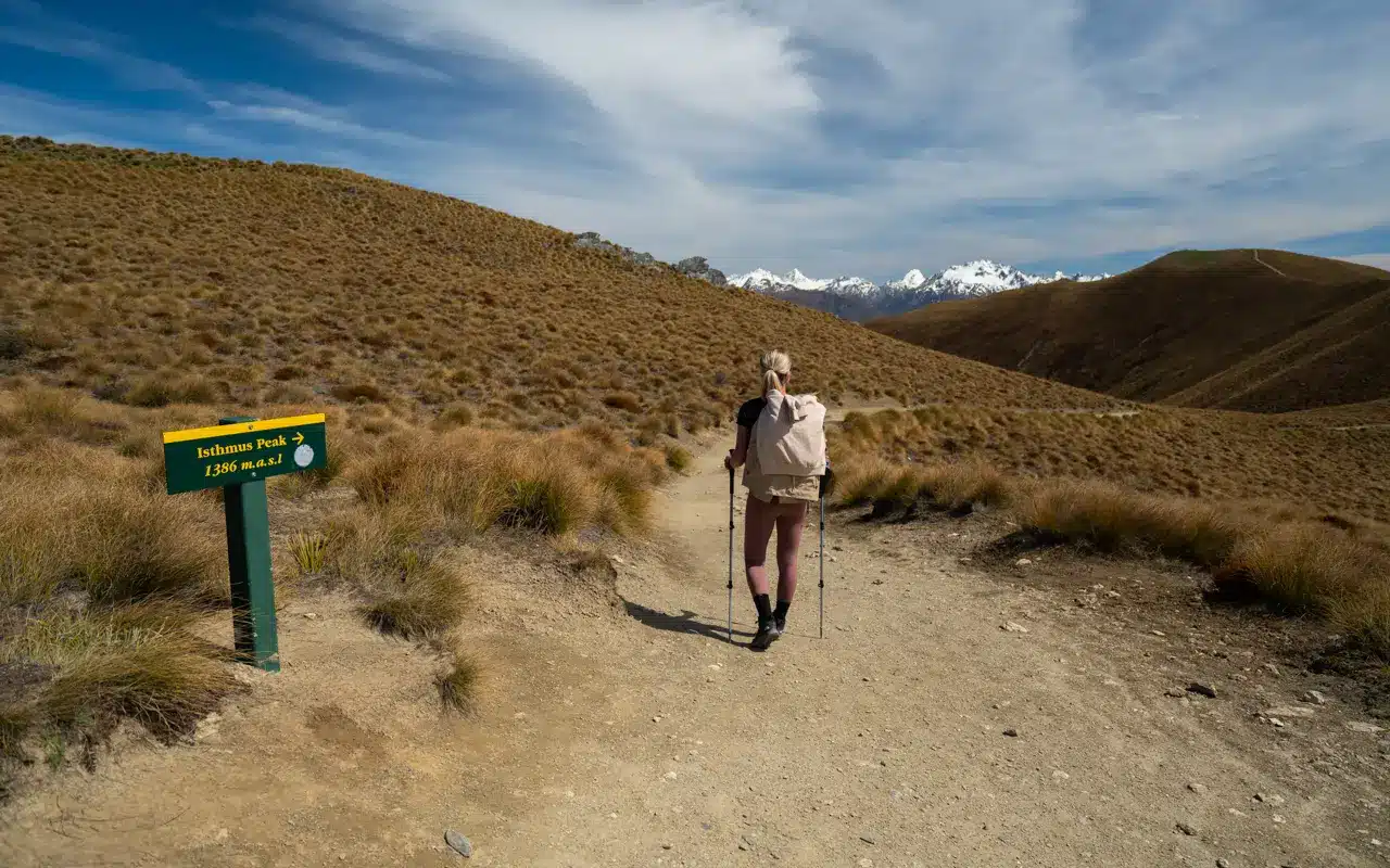 isthmus-peak-tussock-area isthmus-peak-tussock-area