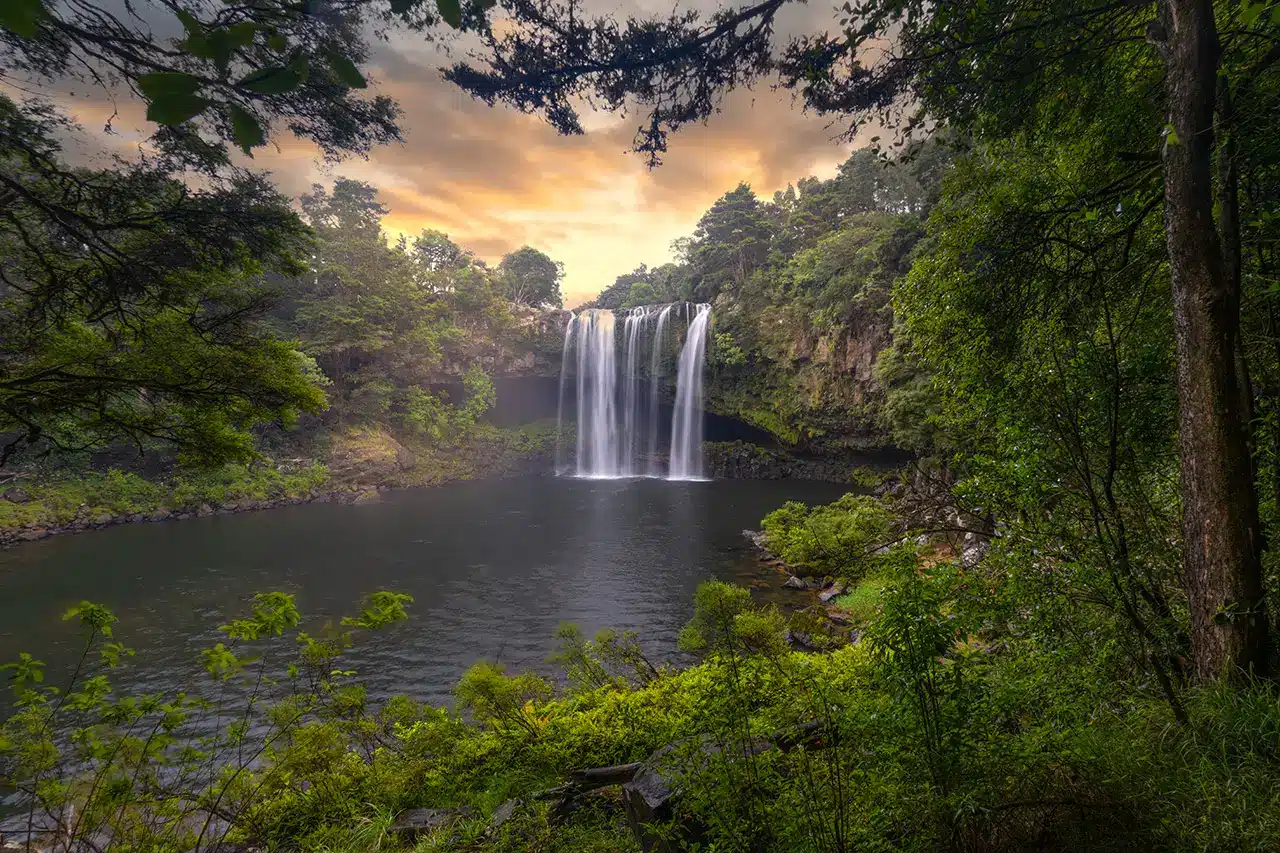 kerikeri-waterfalls-rainbow-falls kerikeri-waterfalls-rainbow-falls