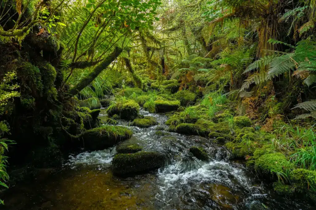 koropuku-falls-river