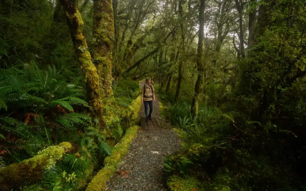 lake-marian-track-path