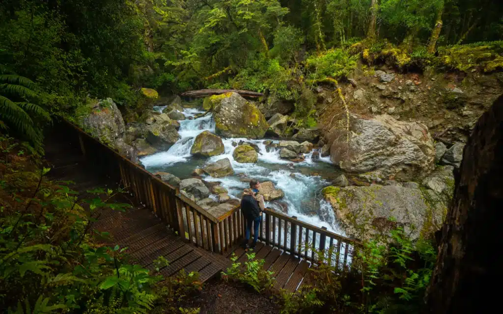 lake-marian-trail-wooden-platform