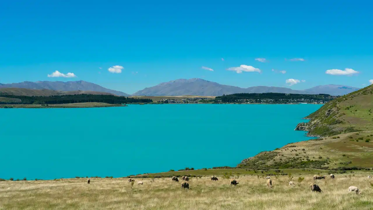 lake-tekapo-town-view lake-tekapo-town-view