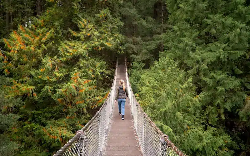 lynn-canyon-hike-suspension-bridge.jpg-2