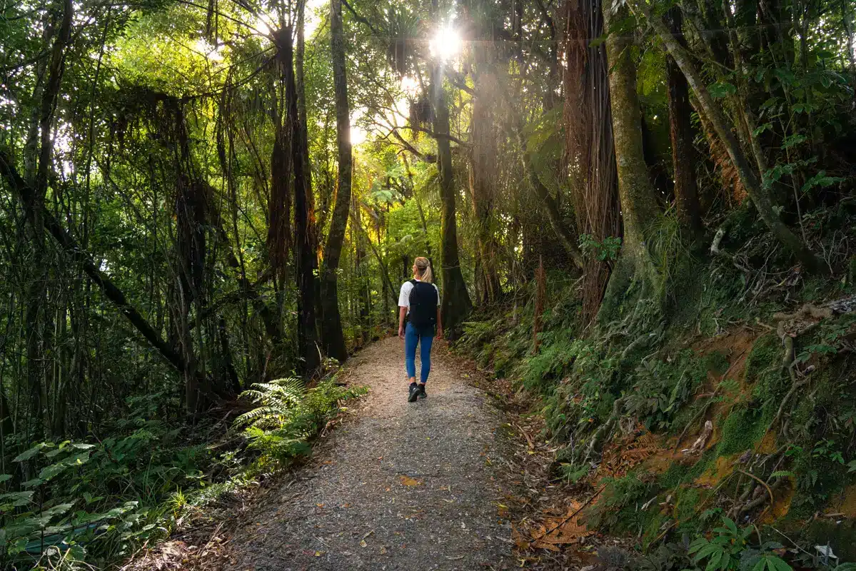 marokopa-falls-path marokopa-falls-path