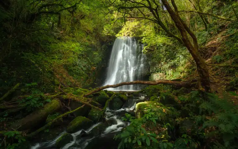 matai-falls-new-zealand