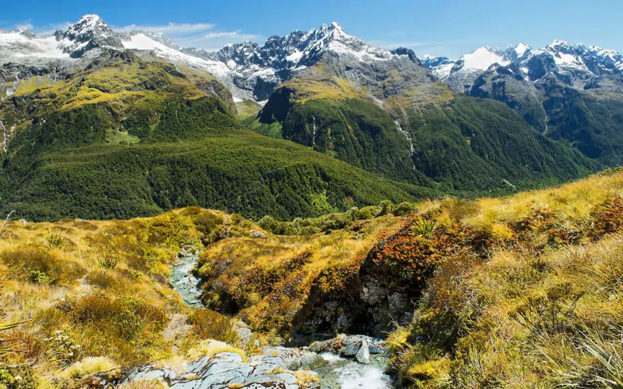 milford-sound-track milford-sound-track