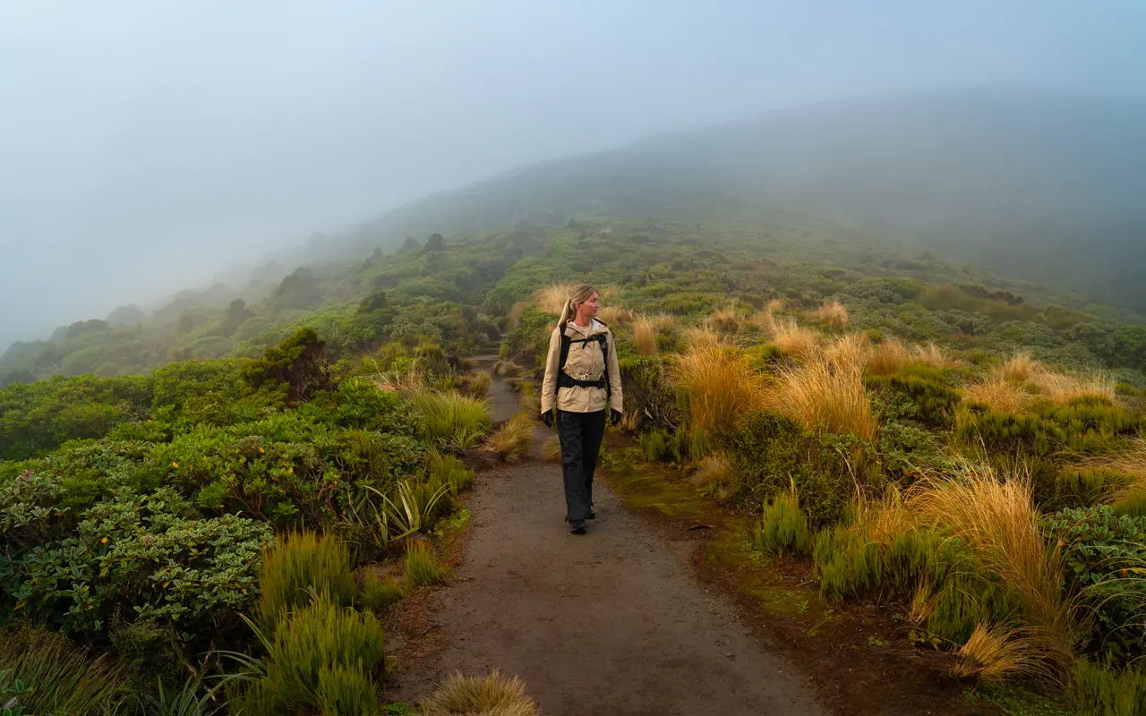 mount-taranaki-walk mount-taranaki-walk