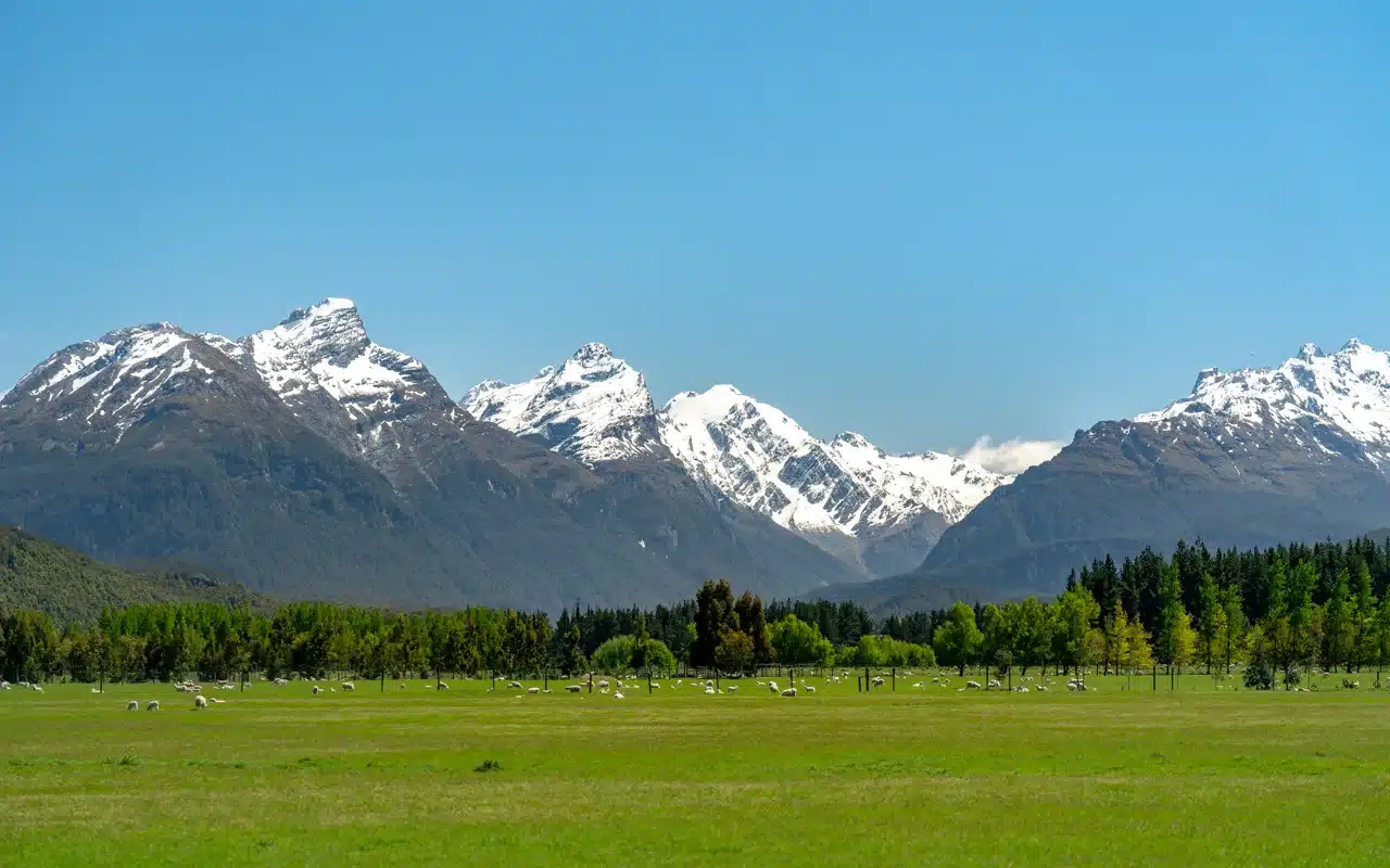 paradise-new-zealand