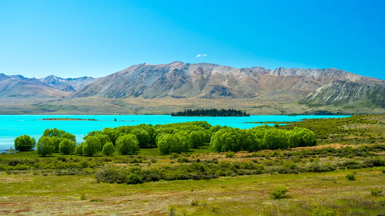 Peninsula-Walkway-lake-tekapo Peninsula-Walkway-lake-tekapo