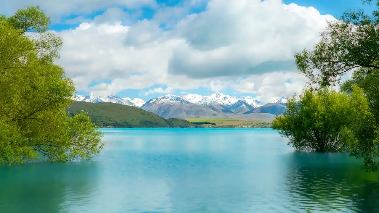 Pines-Beach-Walk-tekapo-view Pines-Beach-Walk-tekapo-view