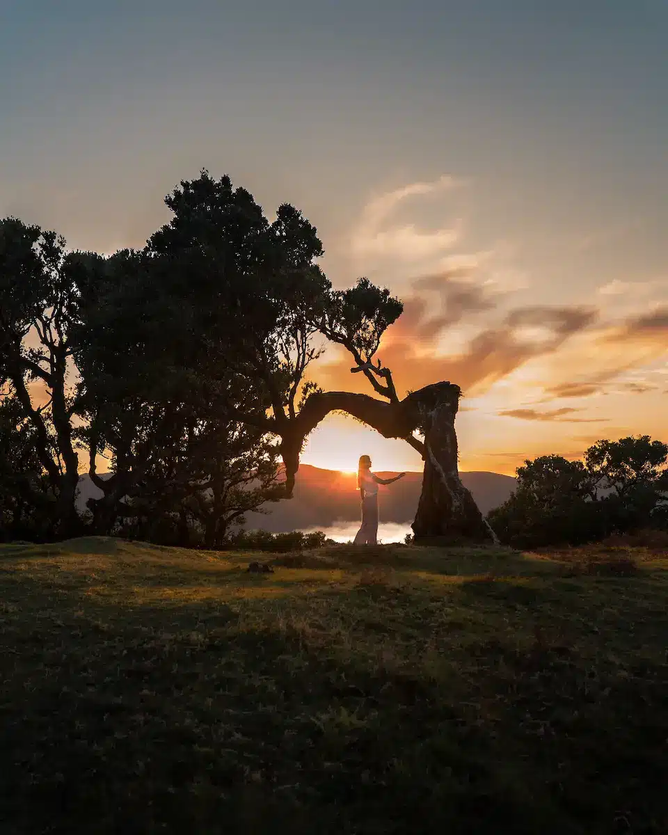 poses-for-photos-amazed-by nature-connection poses-for-photos-amazed-by nature-connection