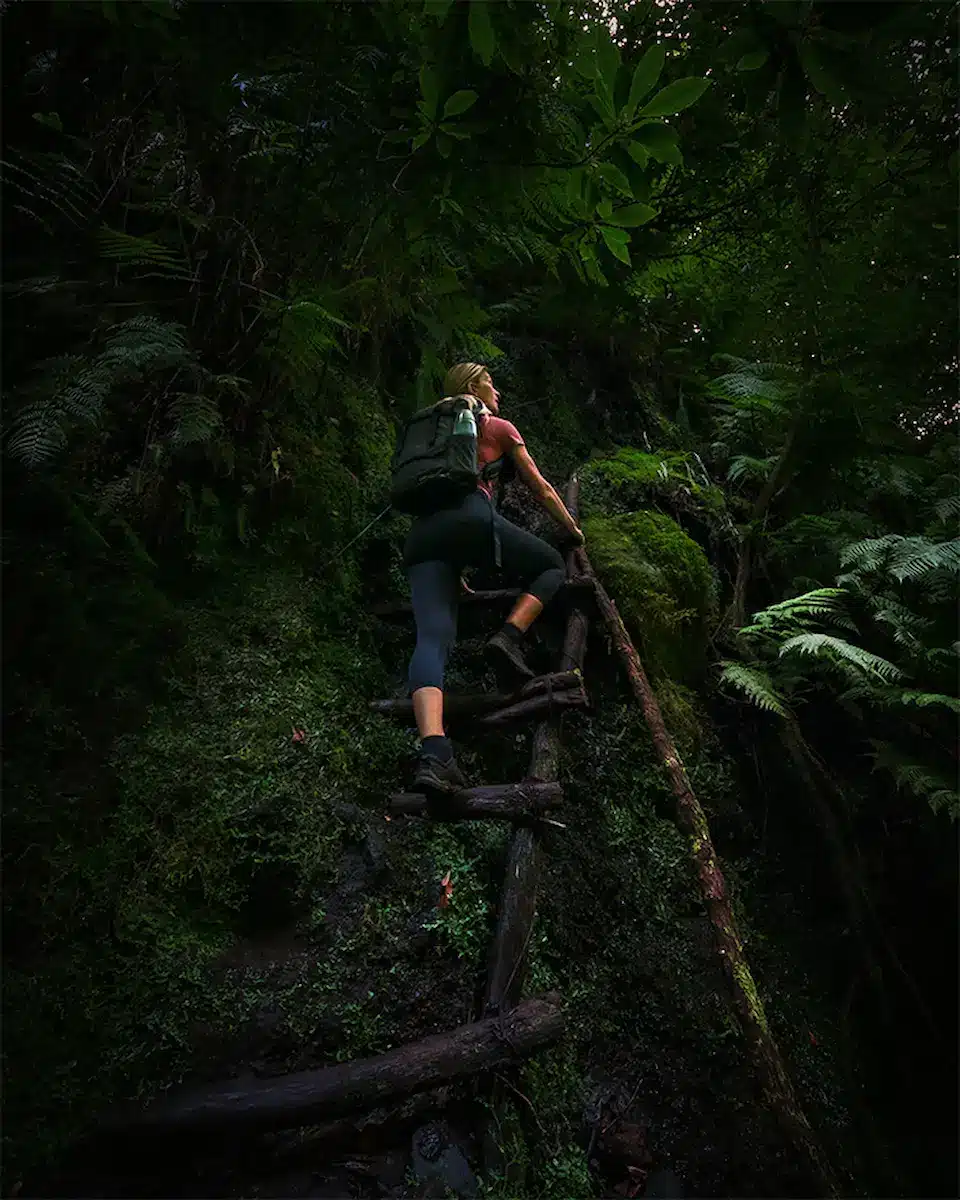 poses-for-photos-climbing-pose-ladder poses-for-photos-climbing-pose-ladder