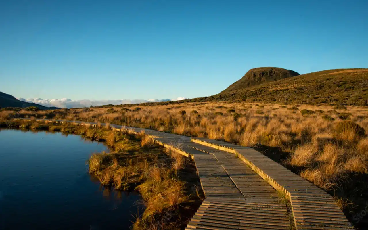 pouakai-tarns-boardwalk- pouakai-tarns-boardwalk-