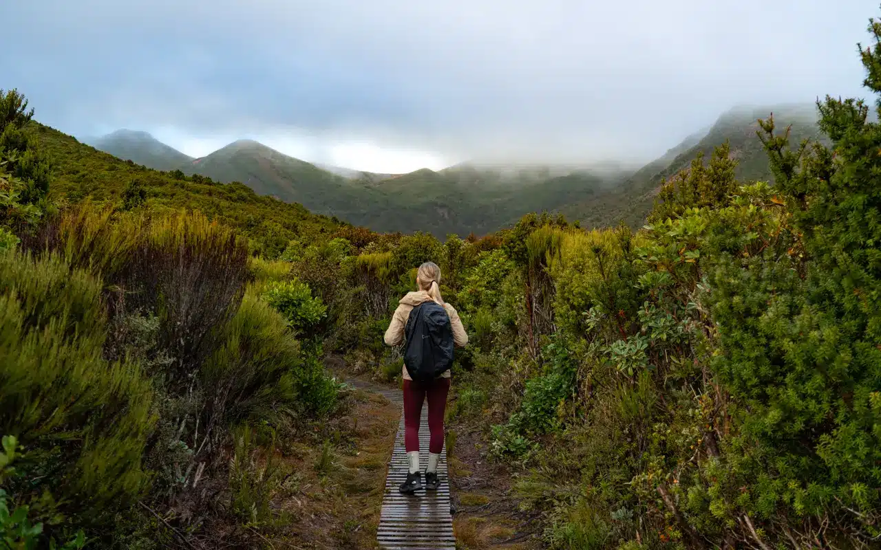 pouakai-tarns-boardwalk pouakai-tarns-boardwalk