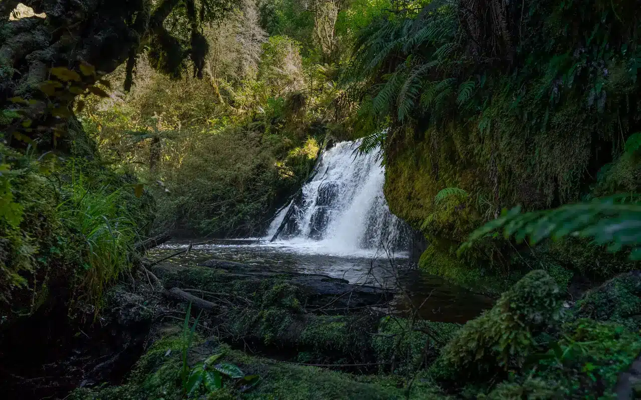 Punehu-Falls Punehu-Falls