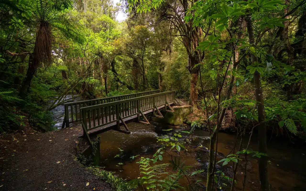 Purakaunui-Falls-walk-bridge Purakaunui-Falls-walk-bridge