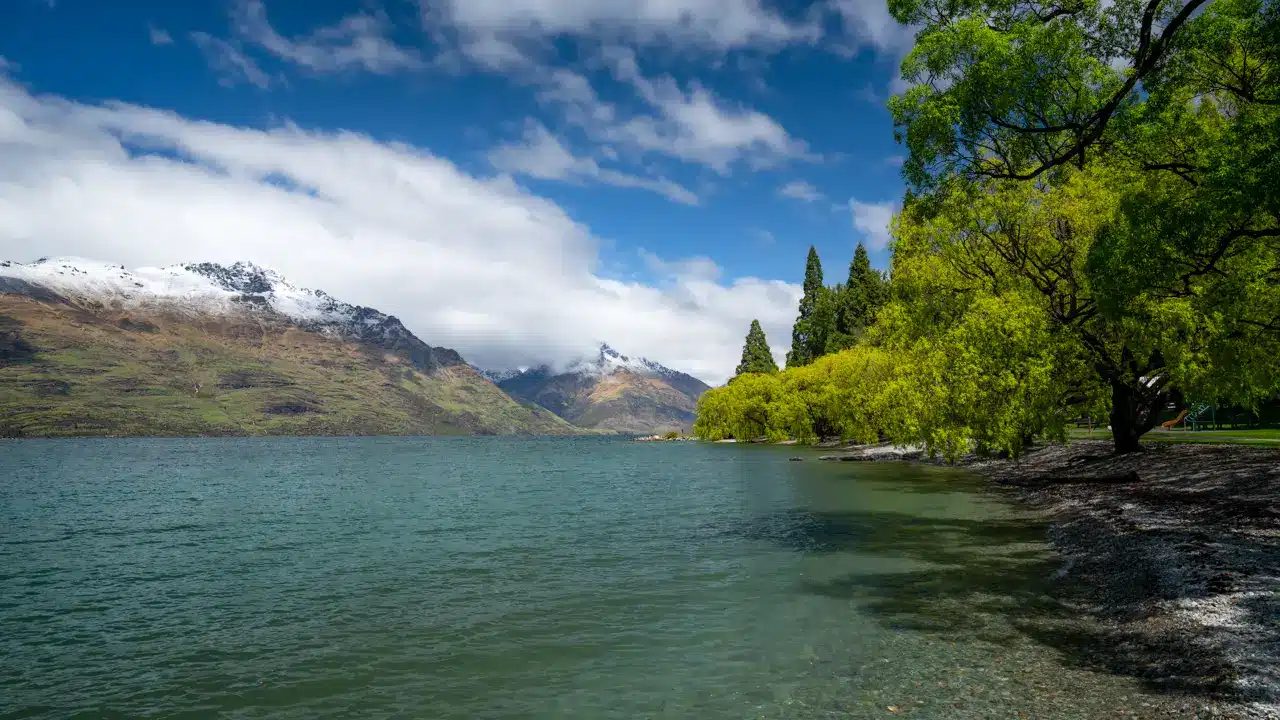 queenstown-lake-shore queenstown-lake-shore