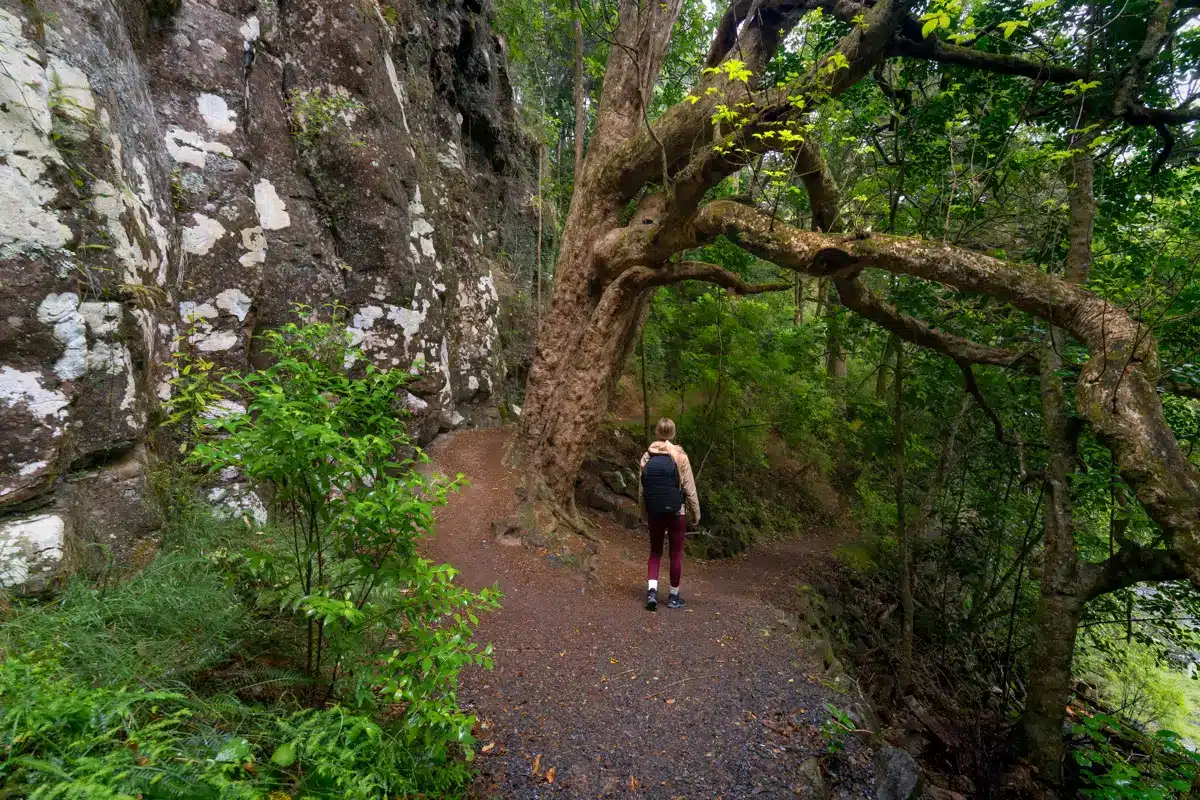 rainbow-falls-track rainbow-falls-track