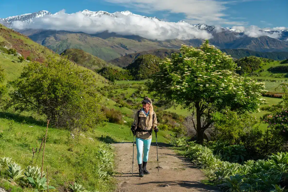 roys-peak-track-views- roys-peak-track-views-