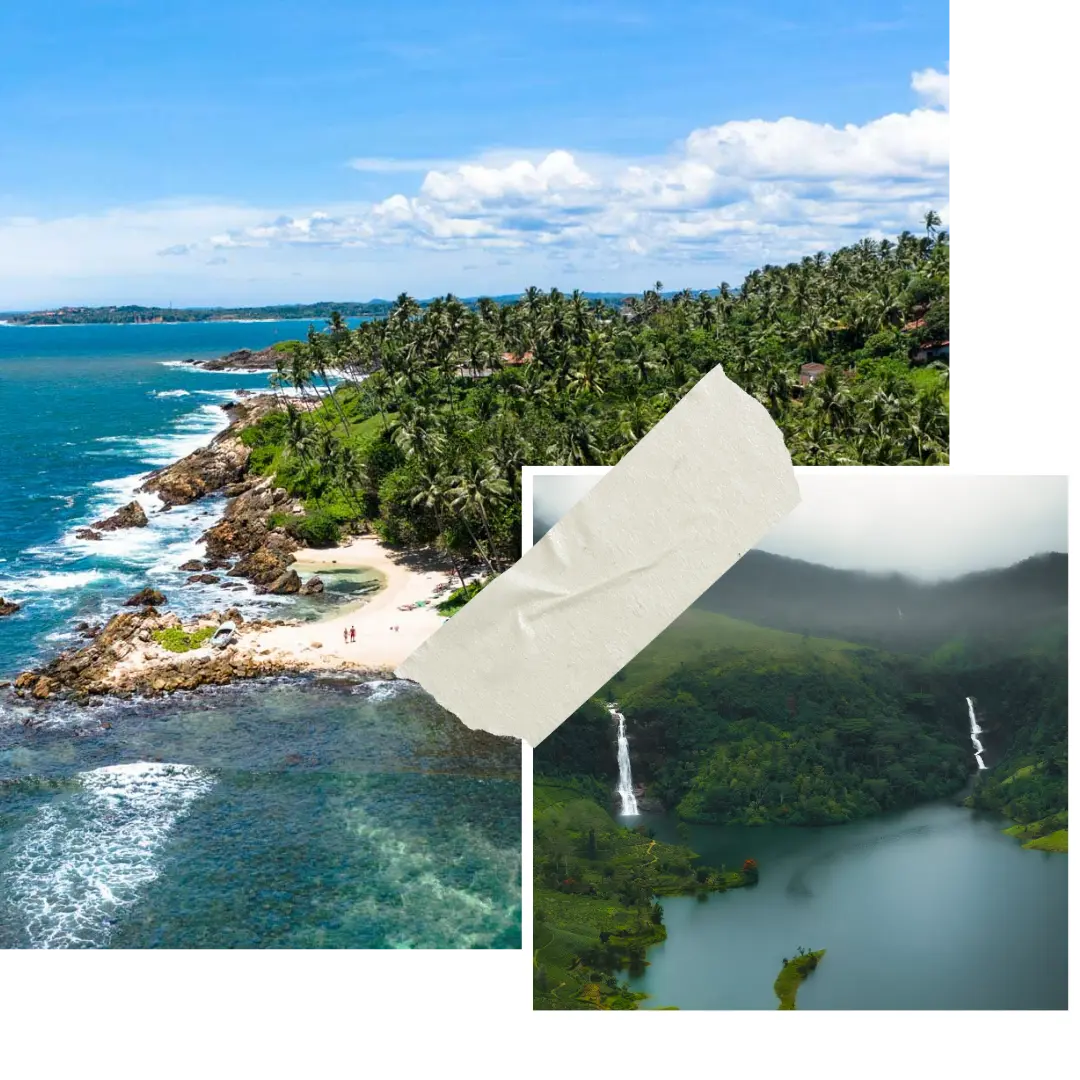 homepage-new-zealand-highlight