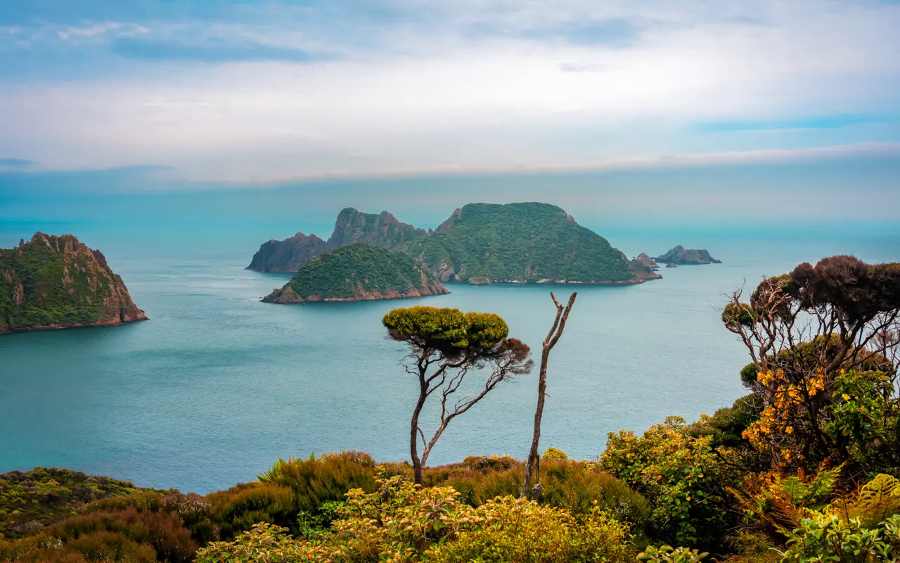 stewart-island-catlins stewart-island-catlins