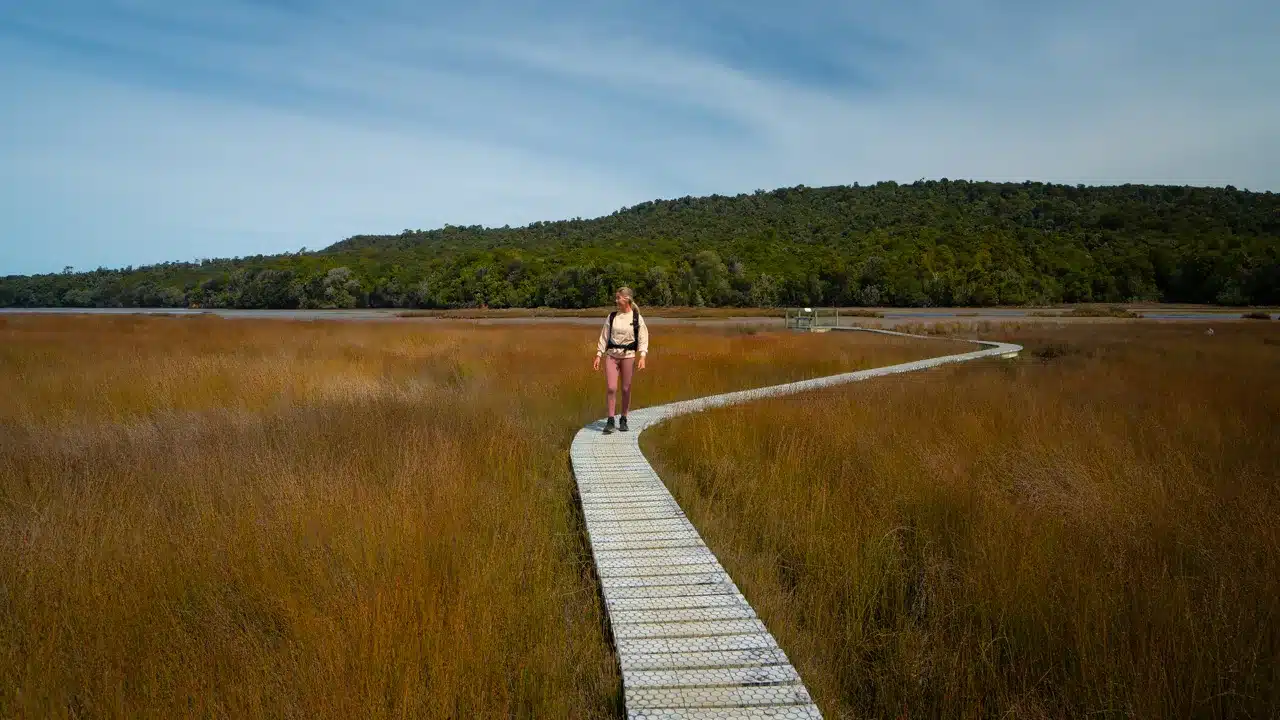 Tautuku-Estuary-walkway- Tautuku-Estuary-walkway-