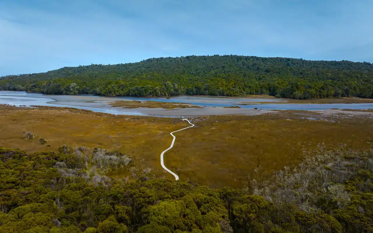 Tautuku-Estuary-walkway-drone- Tautuku-Estuary-walkway-drone-