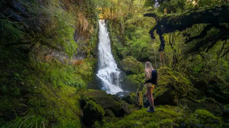 Waipohatu-waterfall-walk