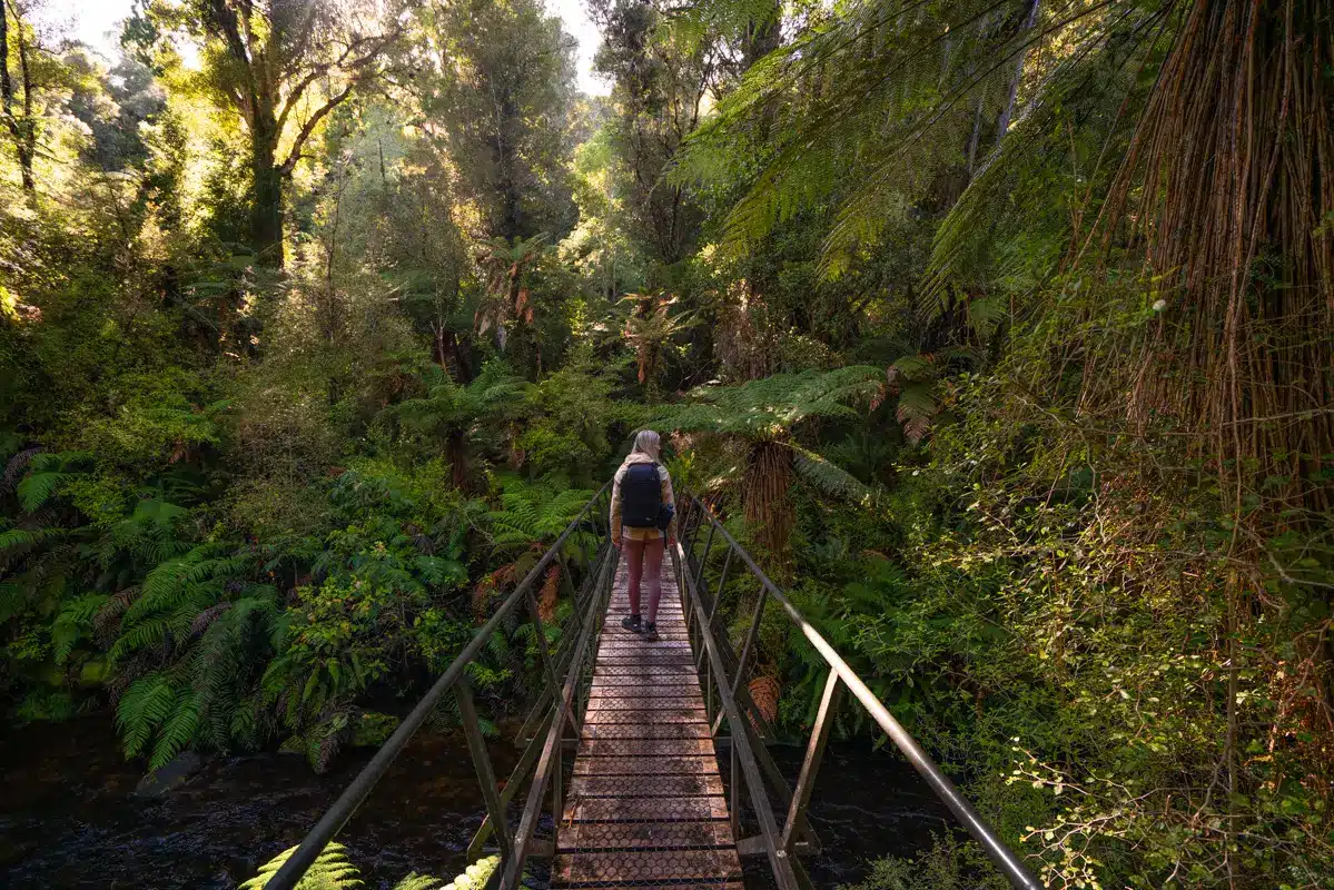 Waipohatu-waterfall-walk-bridge- Waipohatu-waterfall-walk-bridge-