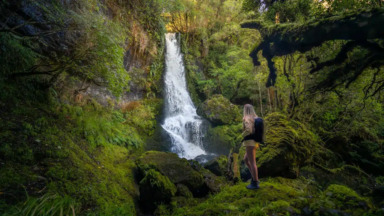 Waipohatu-waterfall-walk Waipohatu-waterfall-walk